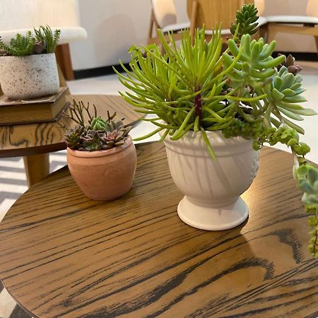 Apartamento Em Santa Teresa ซานตาเทเรซา ภายนอก รูปภาพ