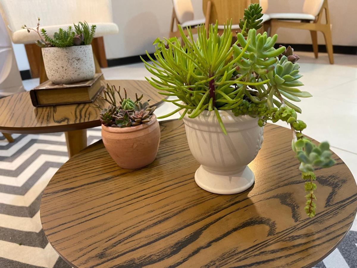 Apartamento Em Santa Teresa ซานตาเทเรซา ภายนอก รูปภาพ